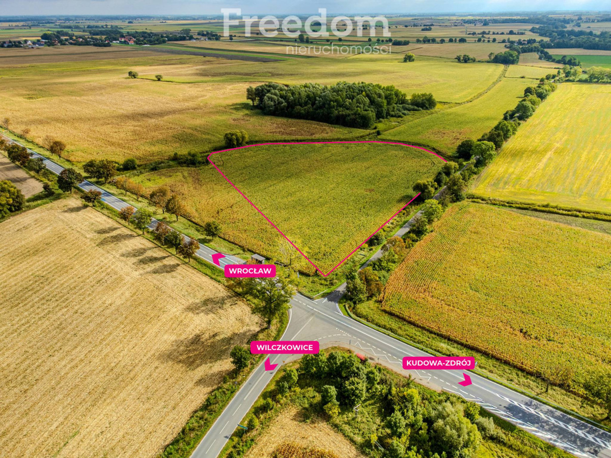 Działka inwestycyjna 2,31 ha | Wilczkowice | E8 - Widok 2