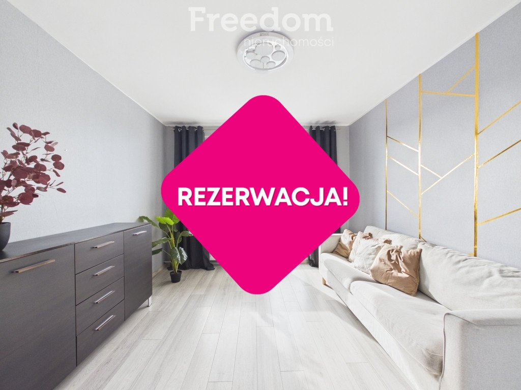 Mieszkanie – Niemodlin, Gracze - Więcej