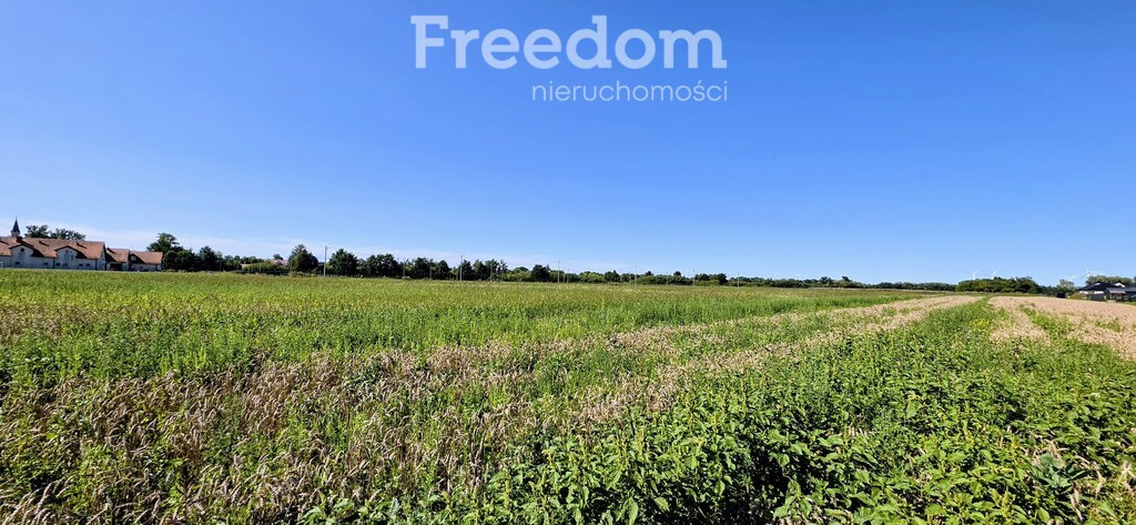 Kompleks trzech działek-19981 m² pod inwestycję - Widok 5