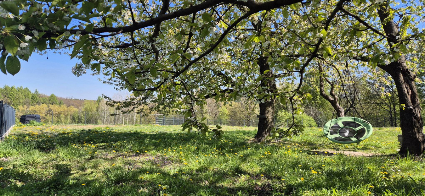 Dom – Miechów, Celiny Przesławickie - Więcej