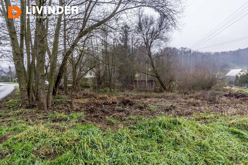 Działka 65 ar bud/rolno/leśna w Czułowie - Widok 4