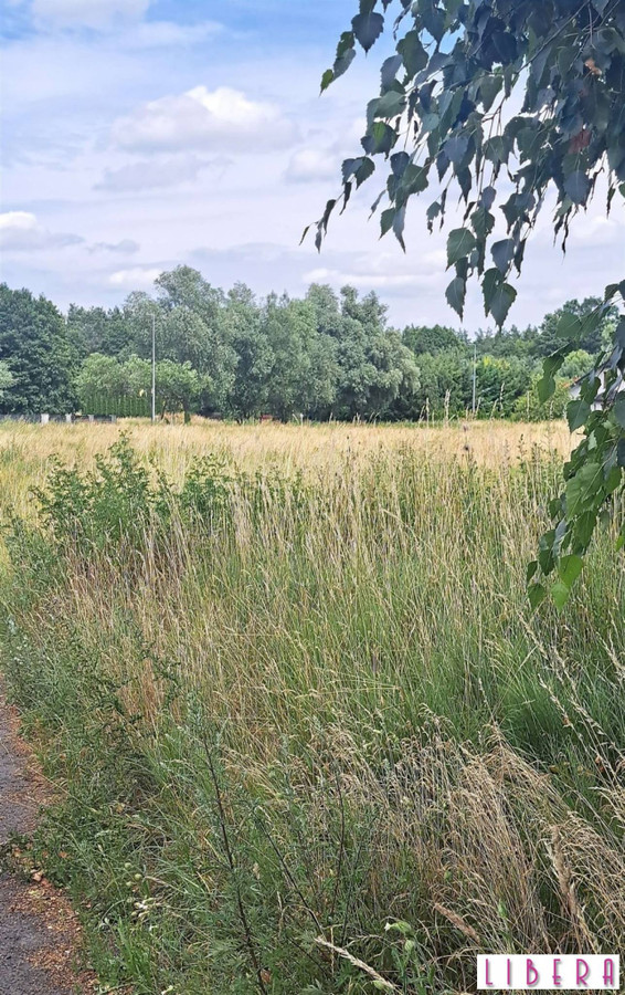 Działka budowlana, Przyłęki - Widok 4