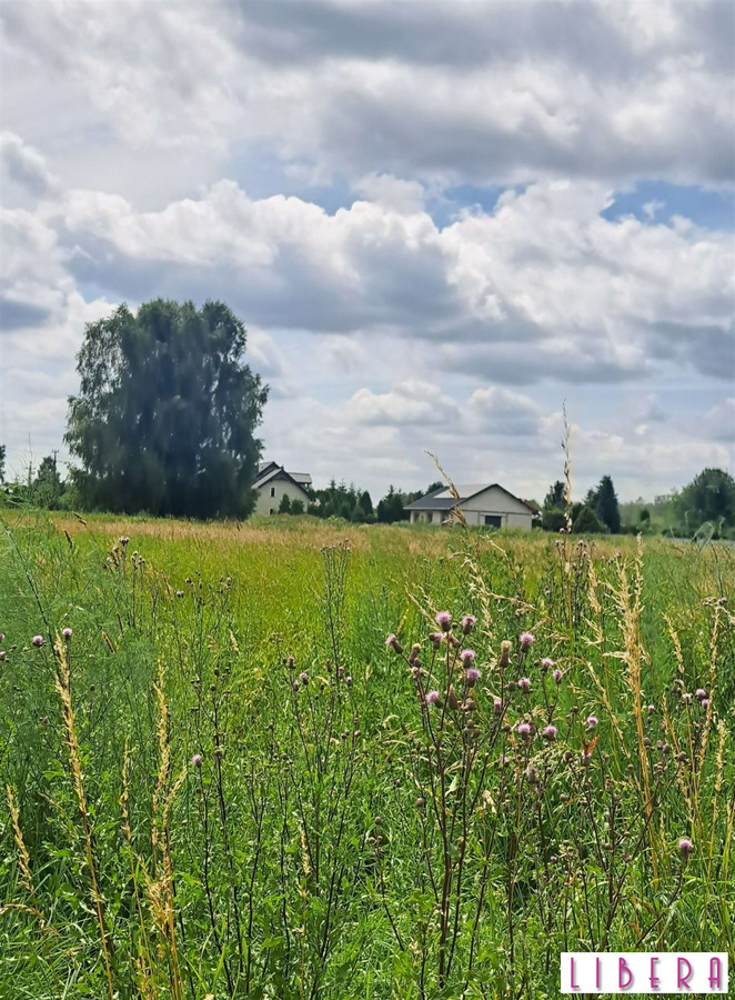 Działka budowlana, Przyłęki - Widok 5