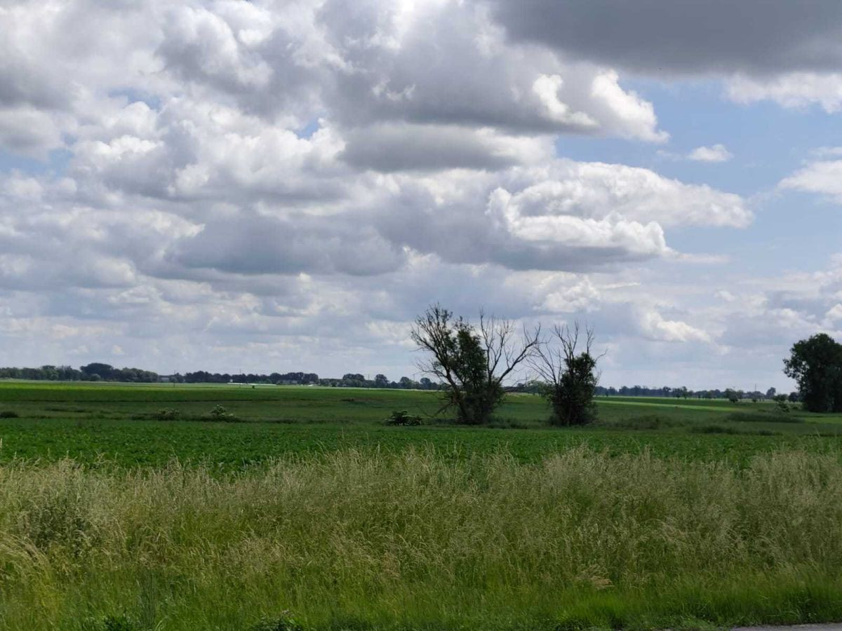 Działka Przemysłowa - Widok 4