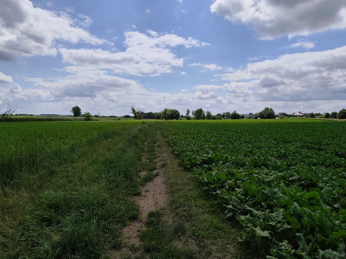 Działka Przemysłowa - Widok 3
