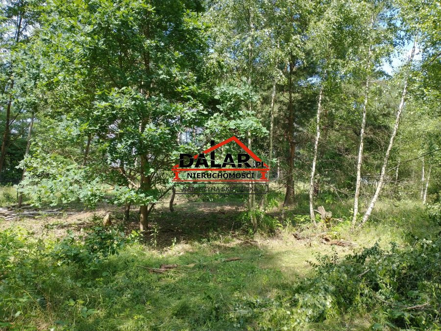gratka-21511/DLR/DZS-213100 - Widok 2