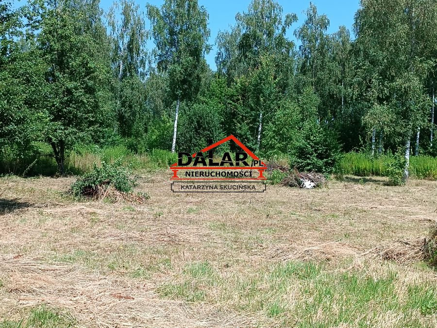 gratka-20502/DLR/OGS-211314 - Widok 3