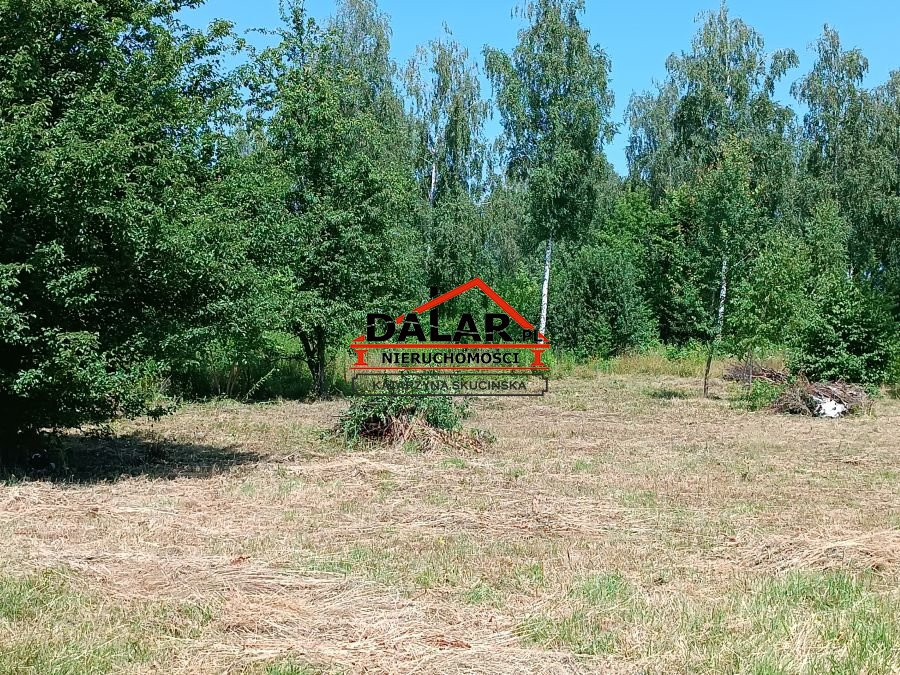gratka-20502/DLR/OGS-211314 - Widok 2