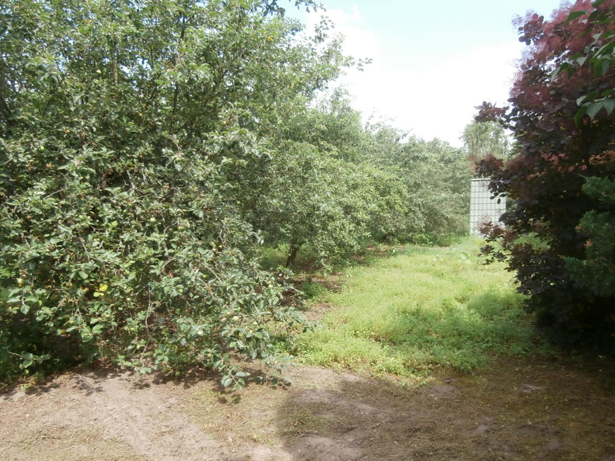 Dom – Siedliszcze, Chojno Nowe Drugie - Widok 4