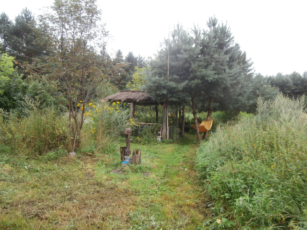 gratka-02-08-23 - Widok 5