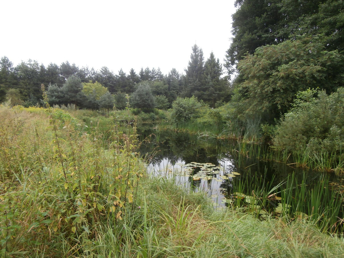 gratka-02-08-23 - Widok 4