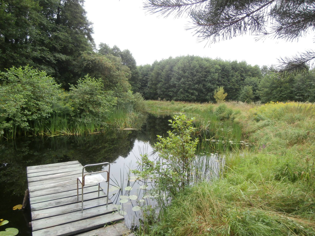 gratka-02-08-23 - Widok 2