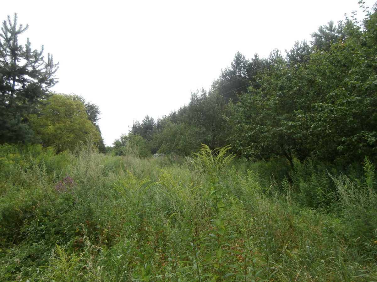 gratka-02-08-23 - Więcej