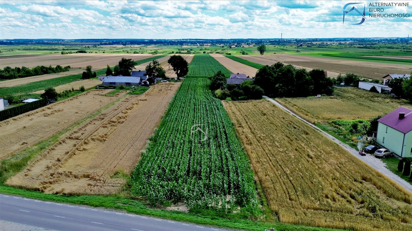2 działki budowlane blisko Zamościa – Czołki - Widok 5