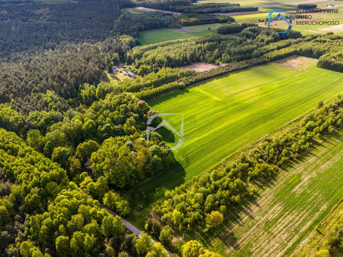Działki budowlane w leśnej okolicy- Tarło - Widok 4