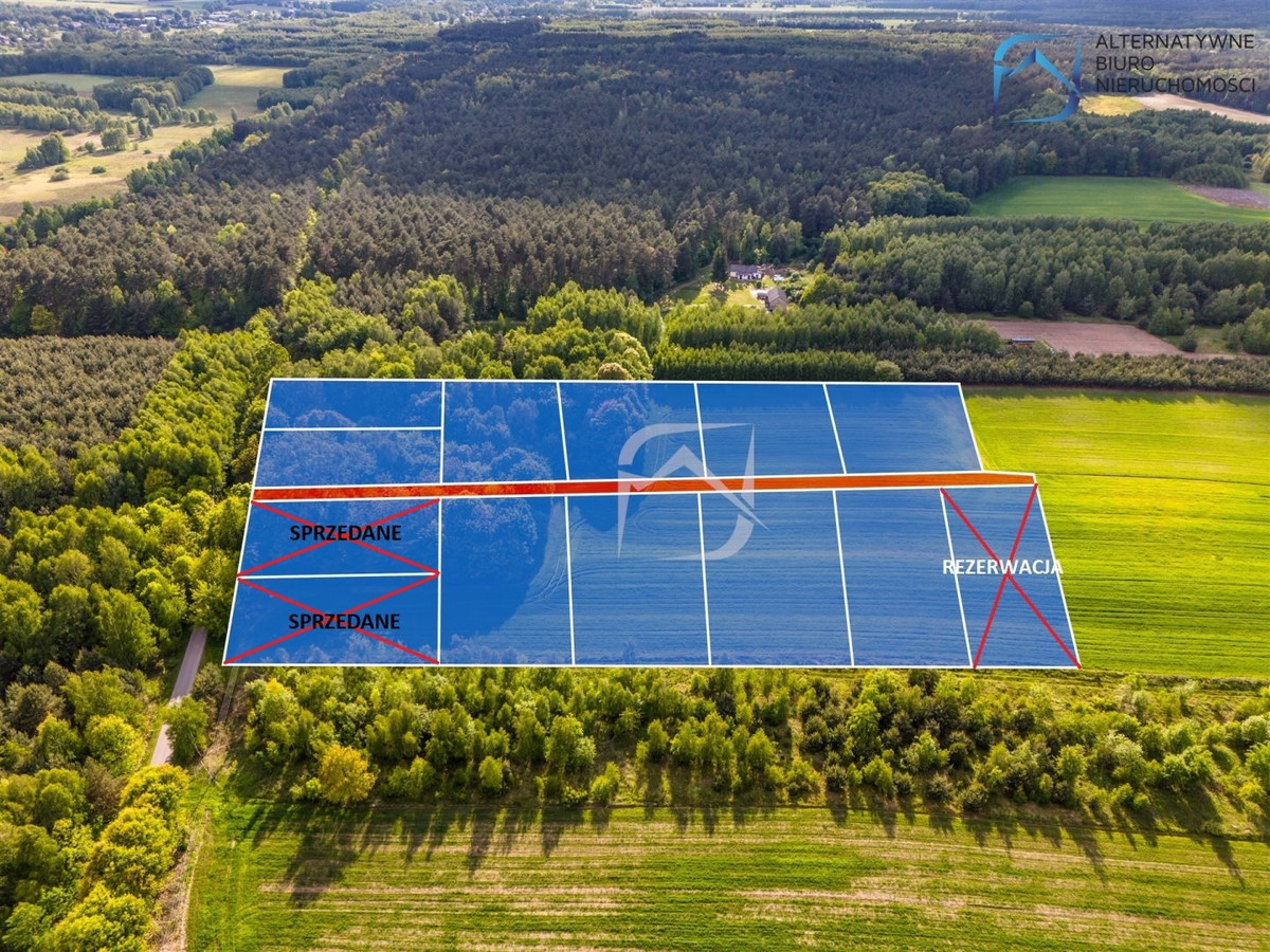 Działki budowlane w leśnej okolicy- Tarło - Widok 5