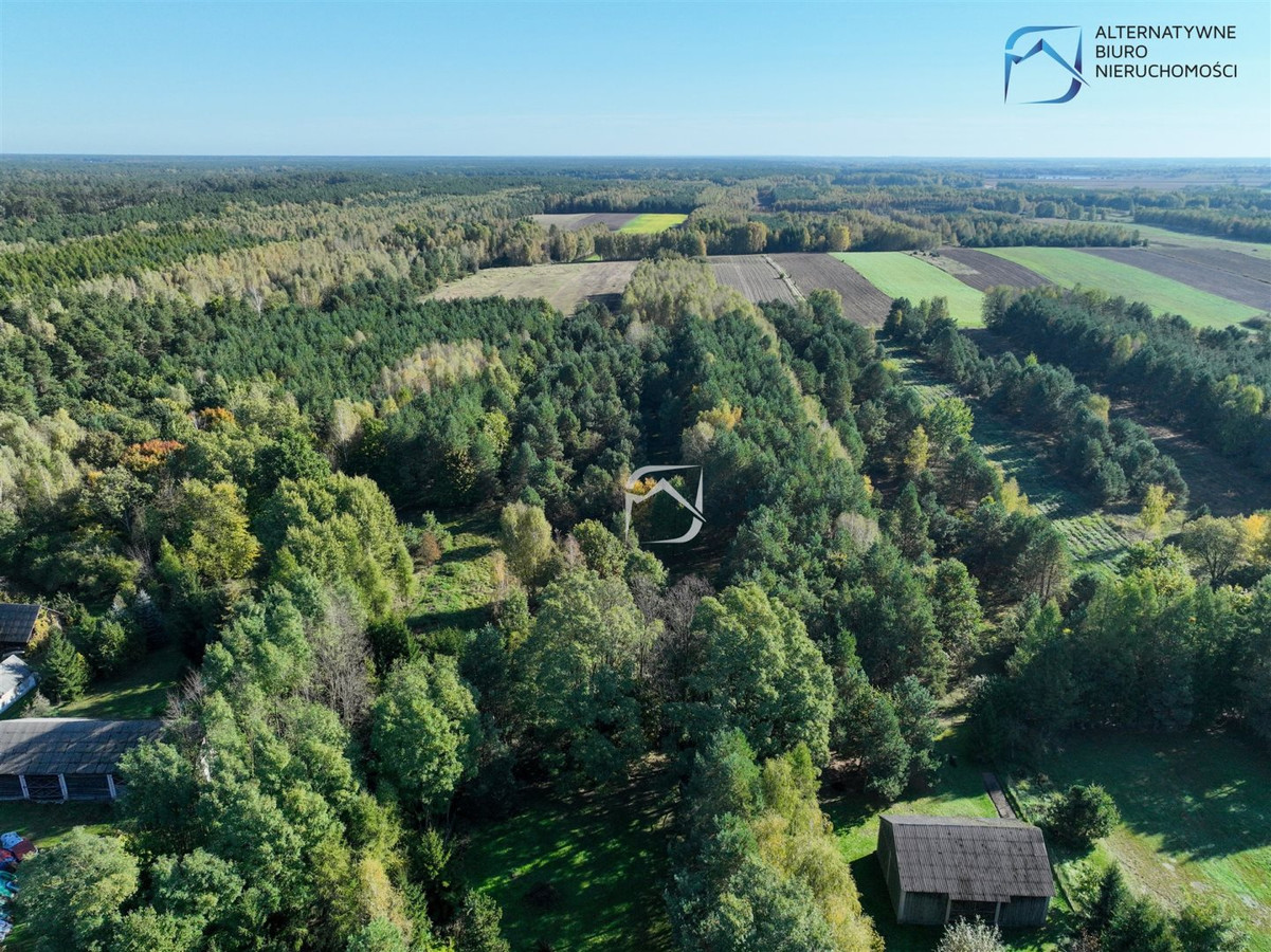 Zadrzewiona działka w pięknej okolicy - Widok 5