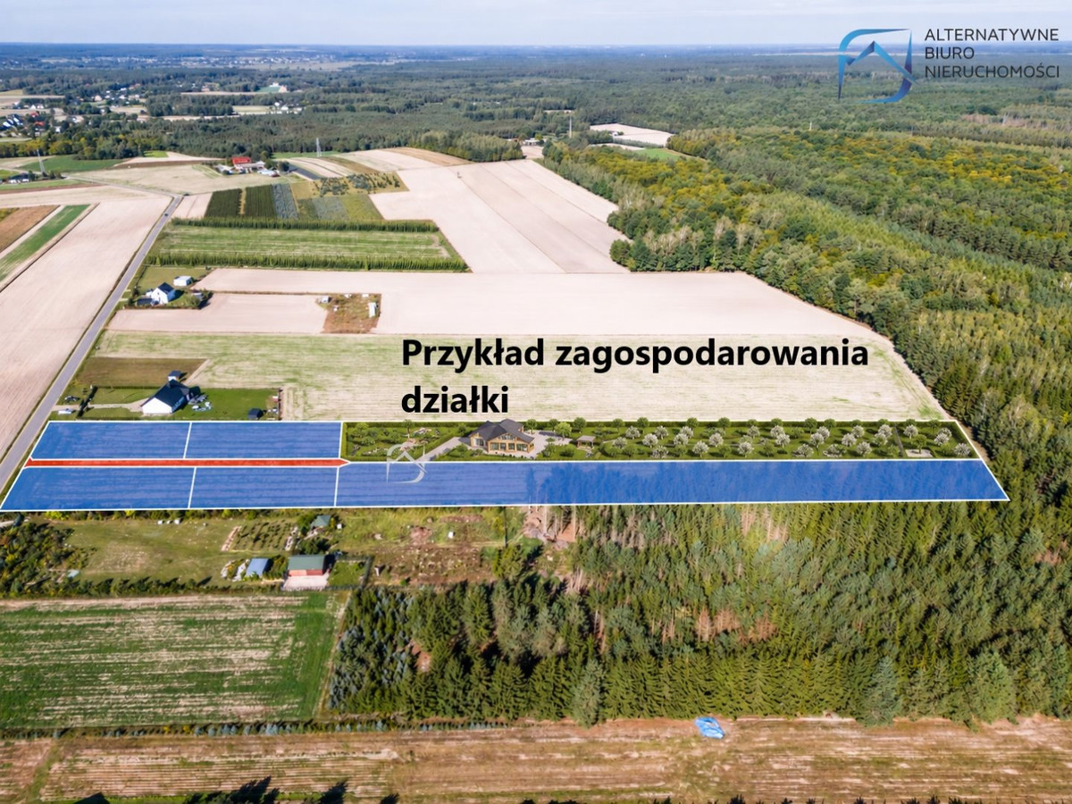 Piękna działka bud-rolna 62ar blisko lasu - Widok 3