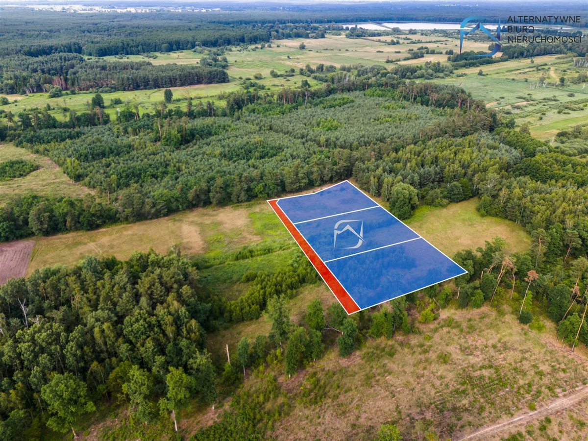 Ustronna działka 3112 m² | Niedźwiada Duża - Widok 5
