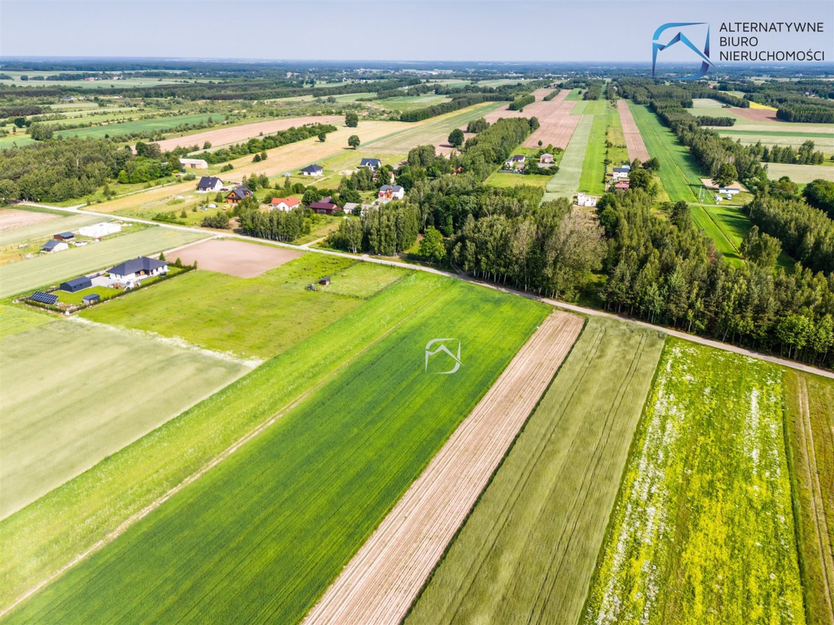 Działka pod budowę 12 lokali - Krasienin Kolonia - Widok 4
