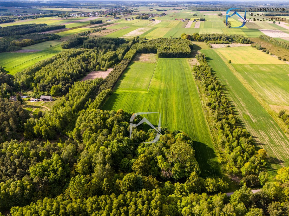 Działki budowlane w leśnej okolicy- Tarło - Widok 2