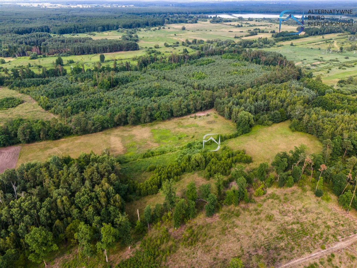 Ustronna działka 3112 m² | Niedźwiada Duża - Więcej
