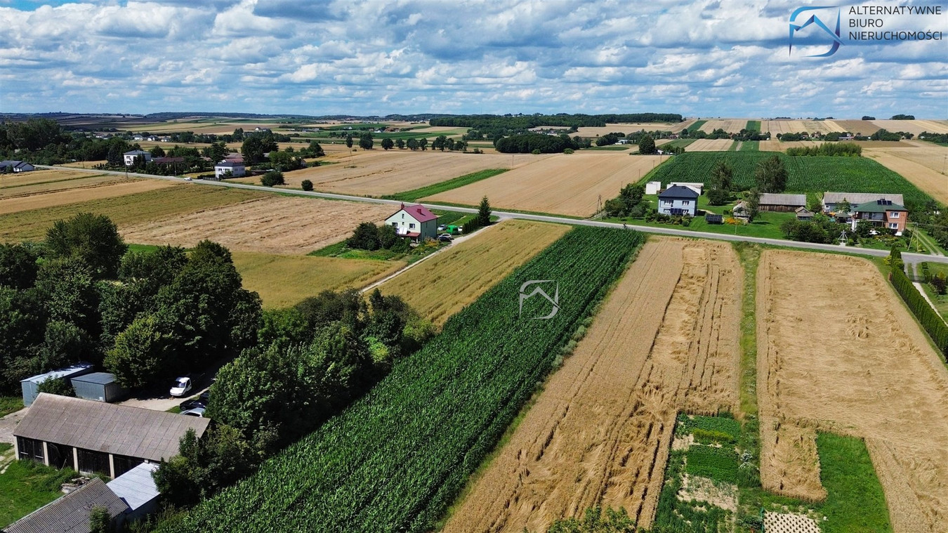 4 działki budowlane blisko Zamościa – Czołki - Widok 3