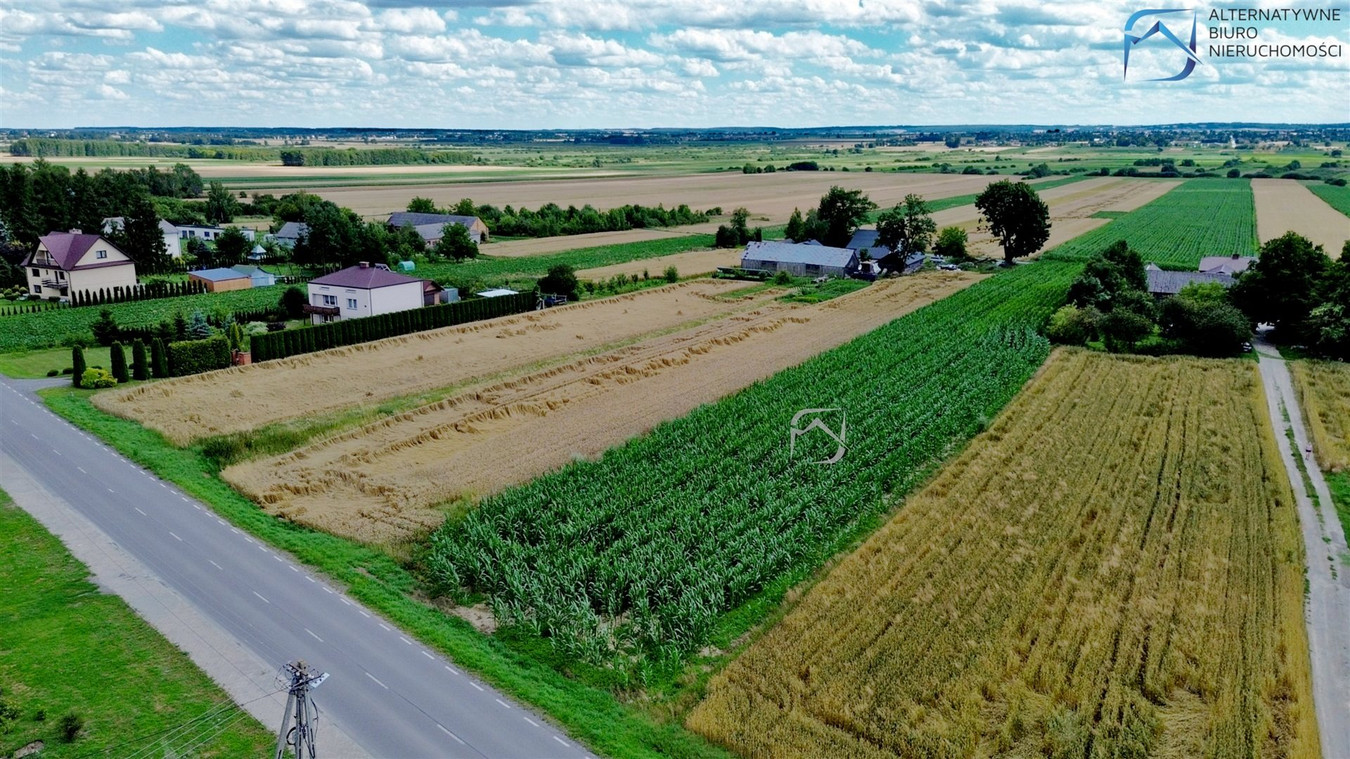2 działki budowlane blisko Zamościa – Czołki - Widok 3