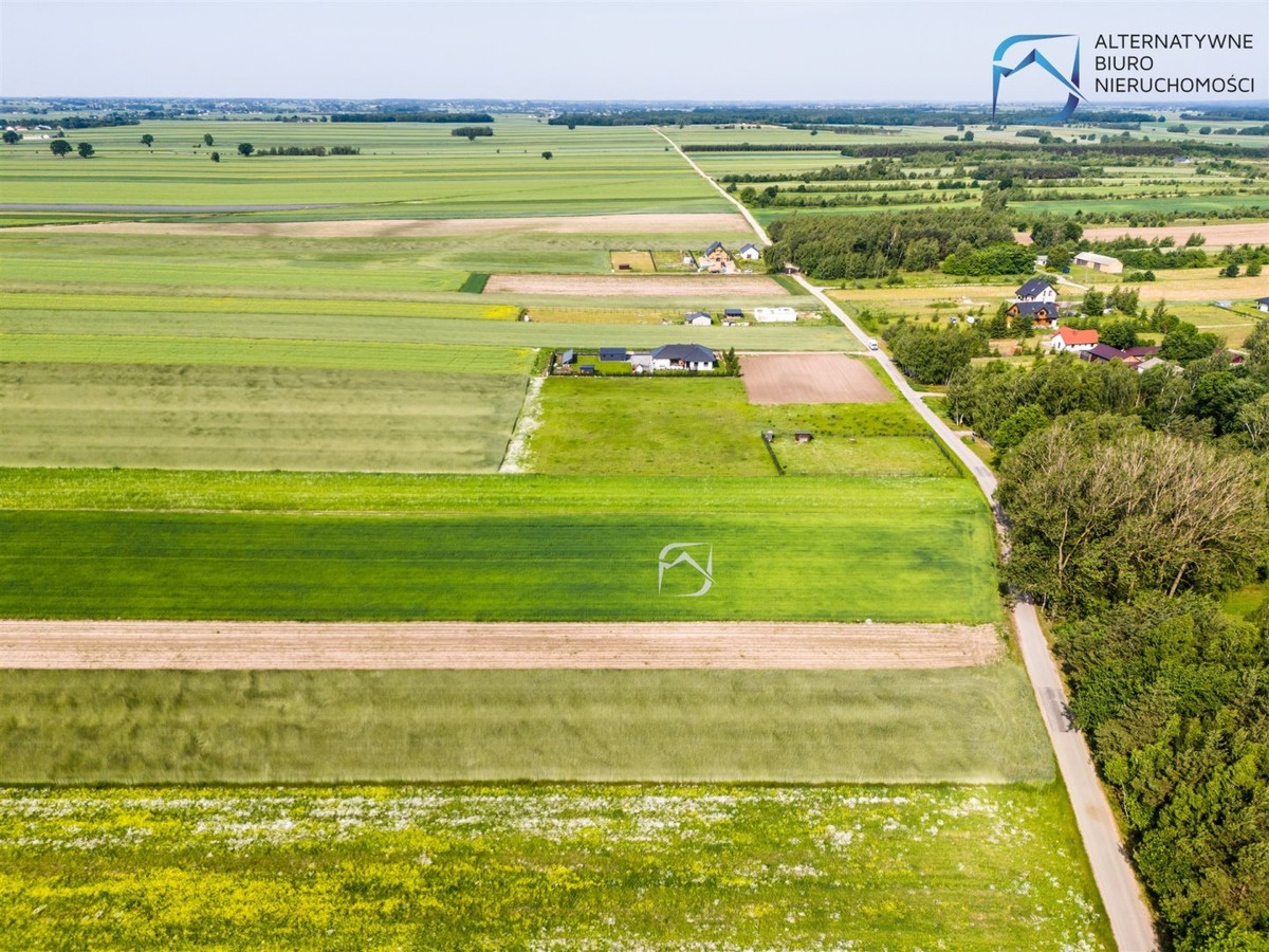 Ustawne działki budowlane - Kolonia Krasienin - Więcej