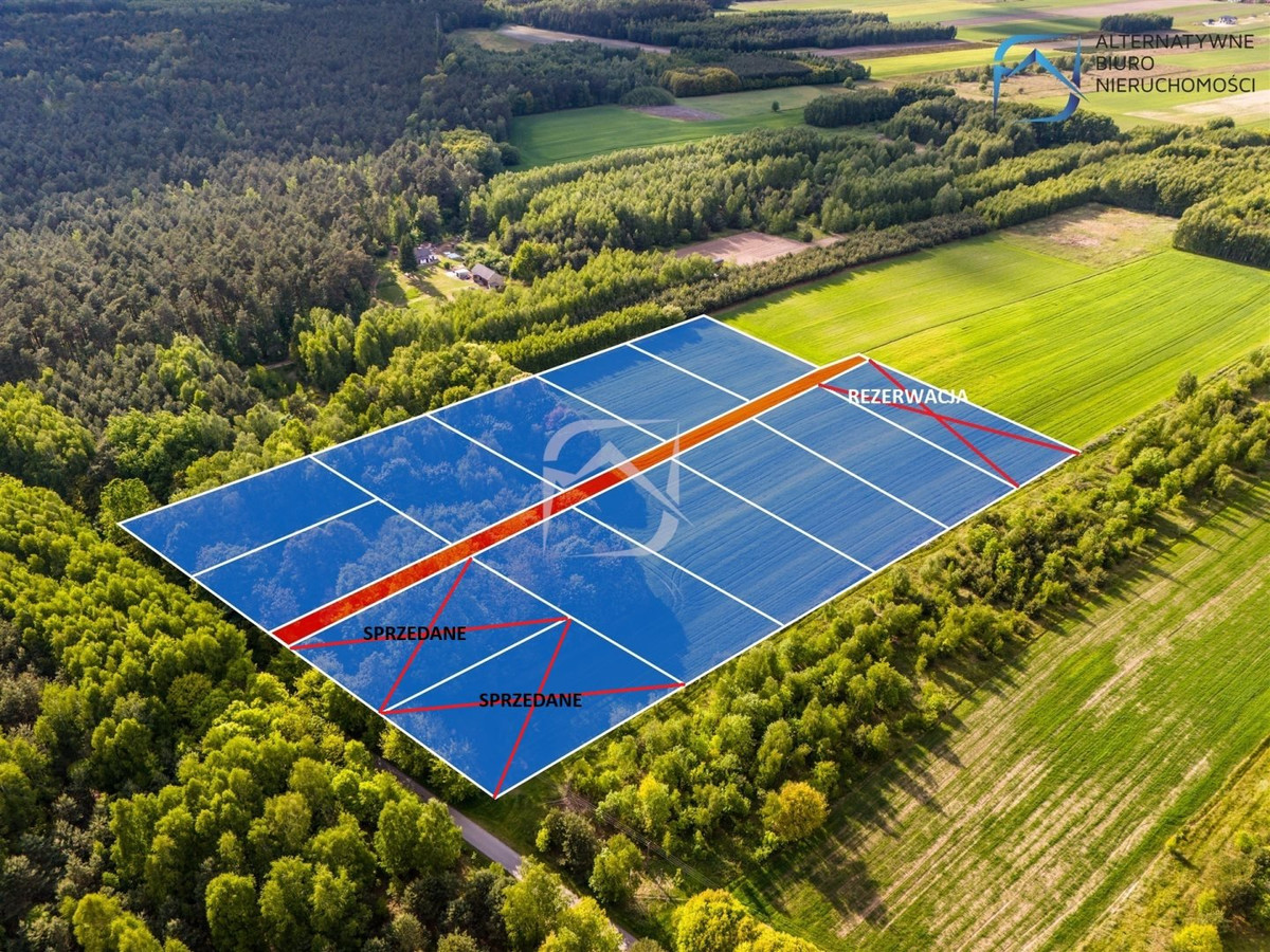 Działki budowlane w leśnej okolicy- Tarło - Widok 3