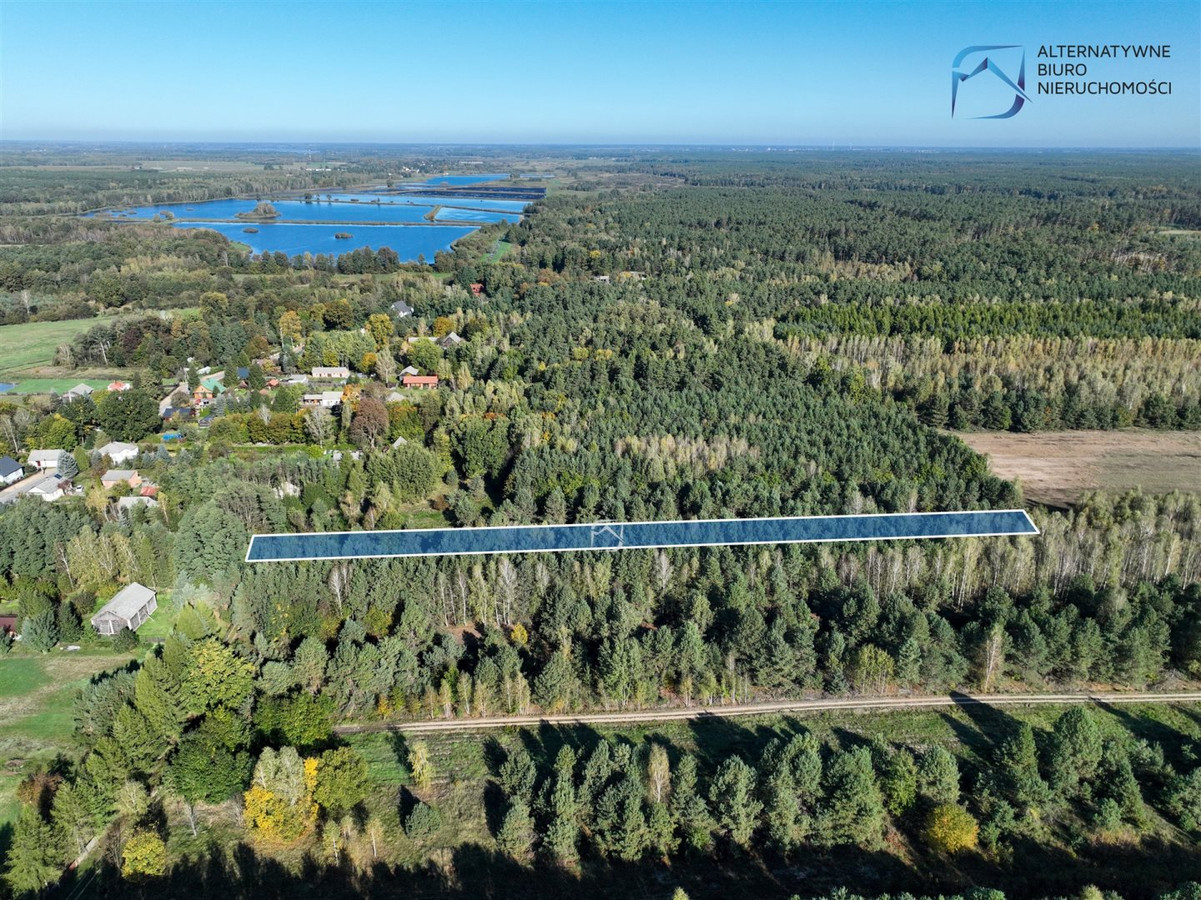 Zadrzewiona działka w pięknej okolicy - Więcej