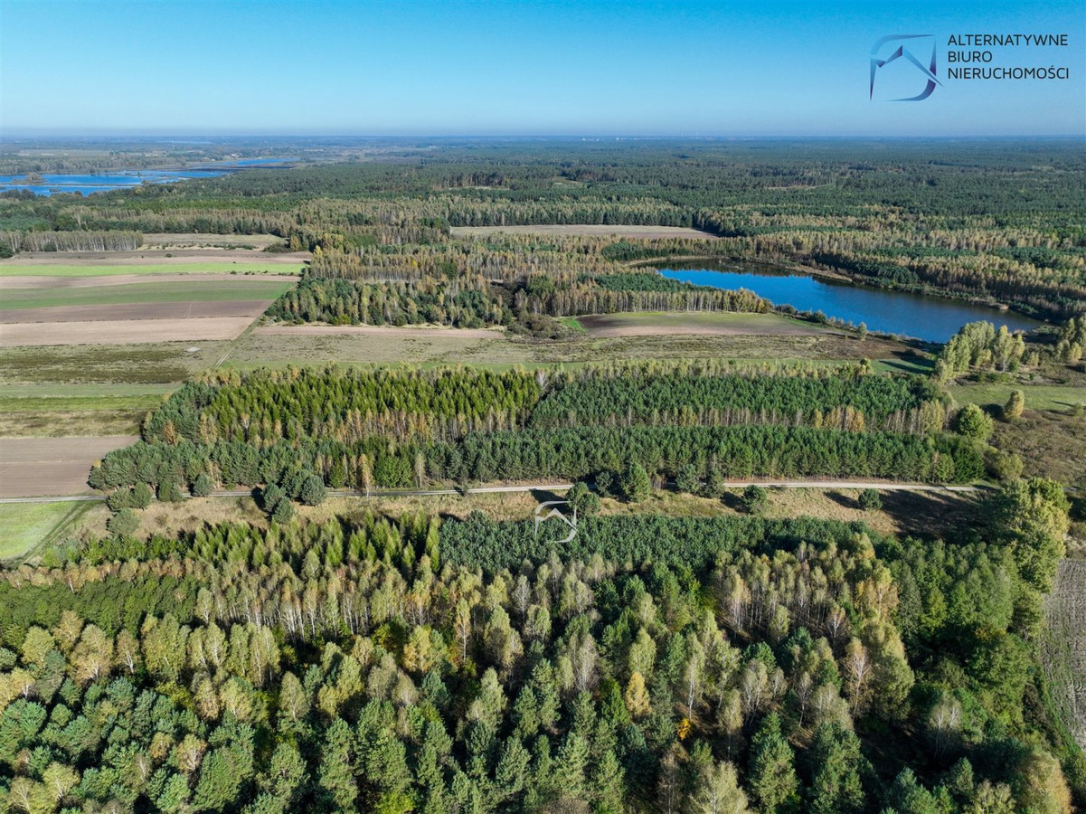 Działka rolna w Bójkach - Widok 5