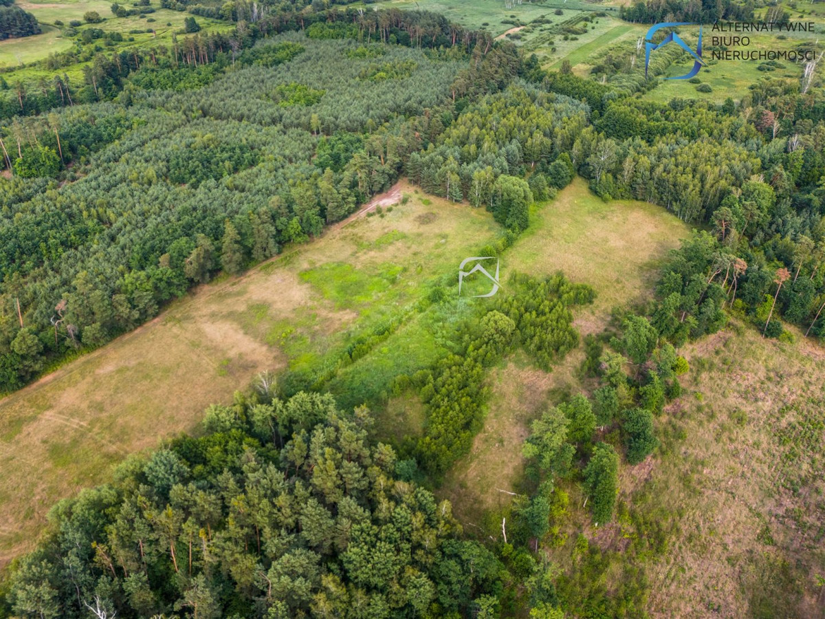 Ustronna działka 3112 m² | Niedźwiada Duża - Widok 4