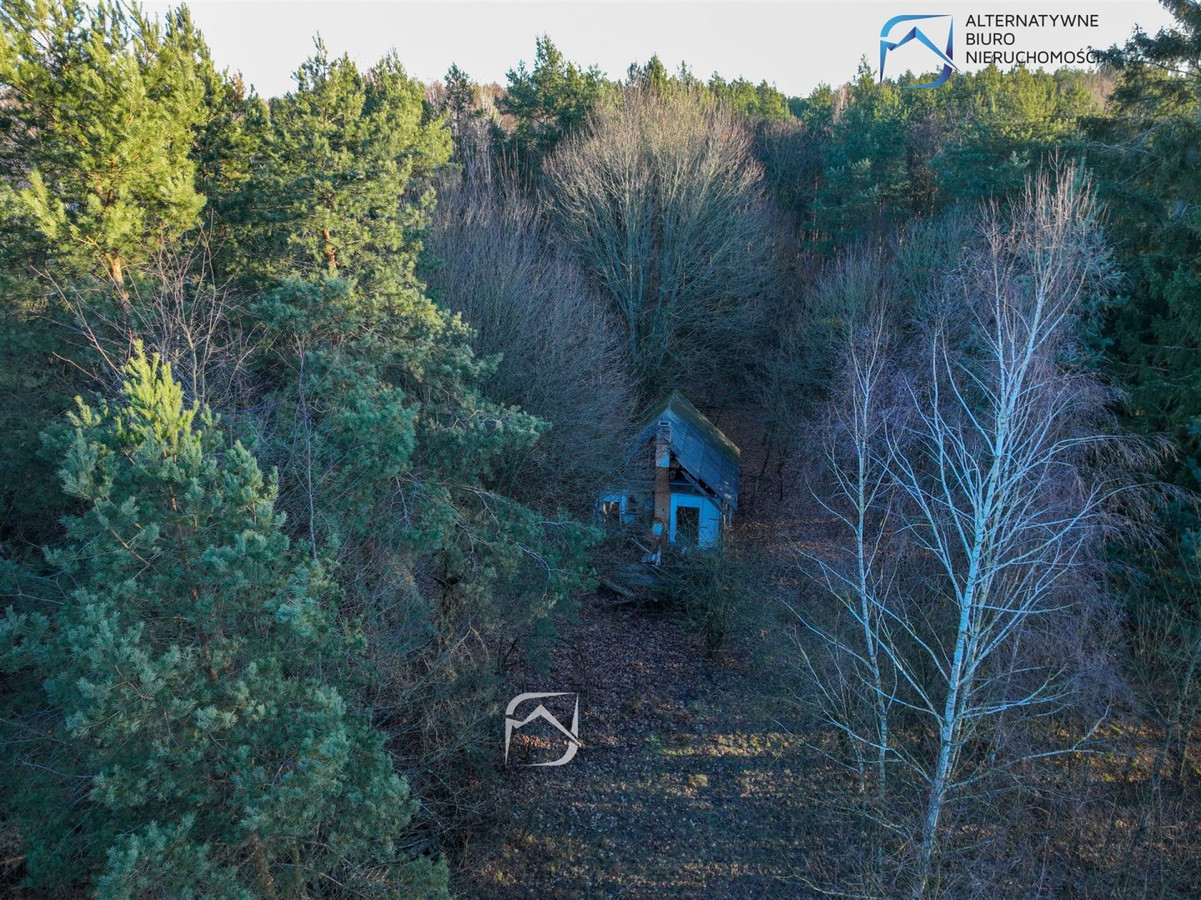 Atrakcyjna działka budowlana w środku lasu - Widok 5