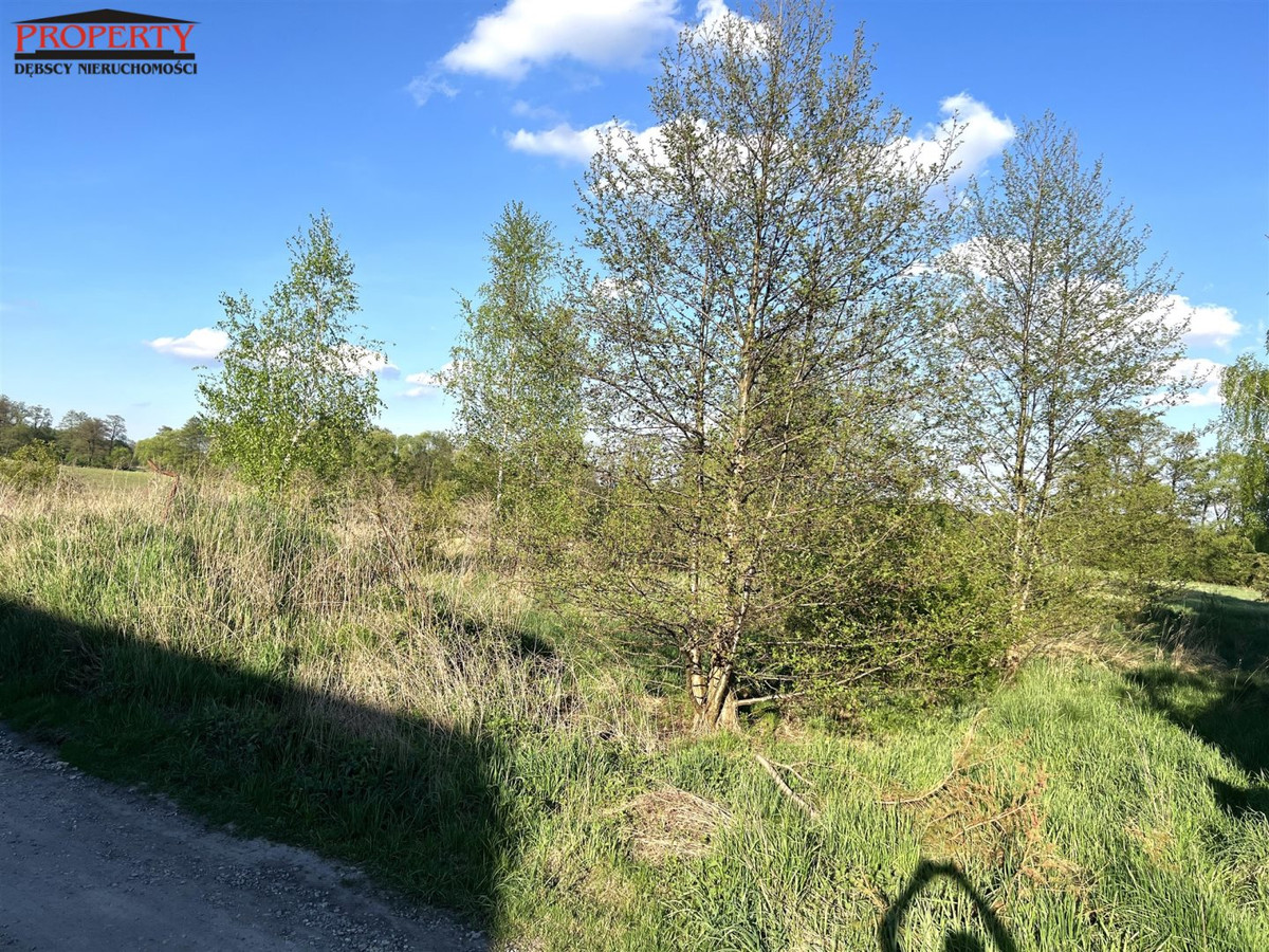 Kształtna działka budowlane w rej. Huta Jagodnica - Widok 3