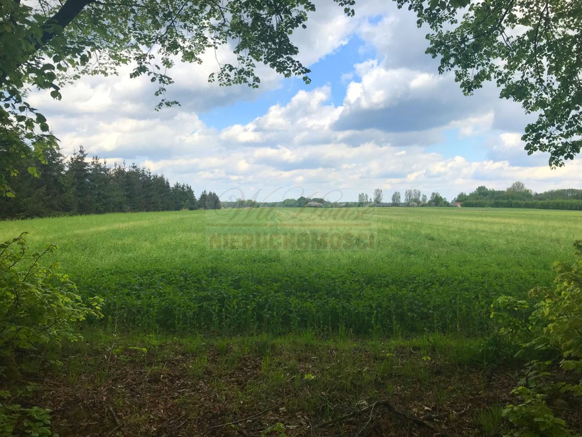 Land, 18325 m²