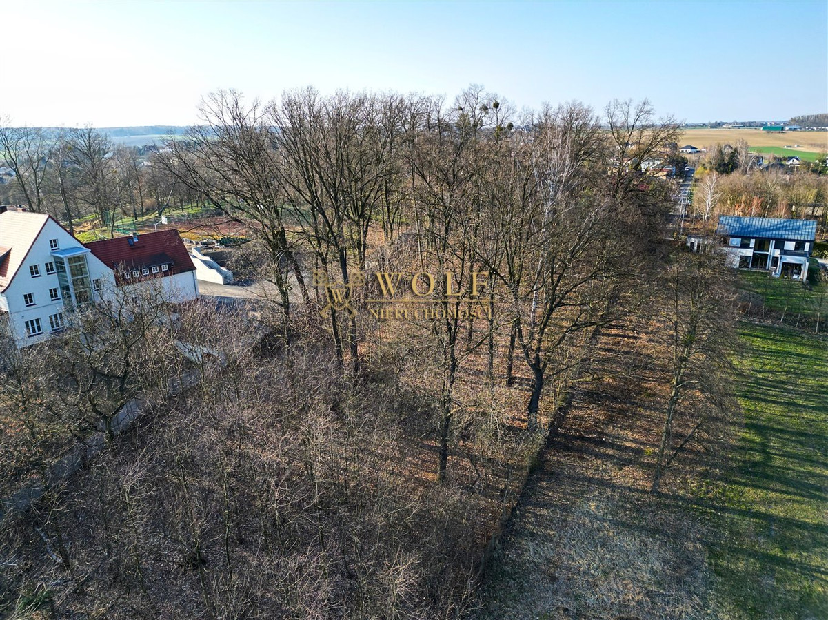 Urokliwie położona działka usługowa -Zbrosławice - Widok 3
