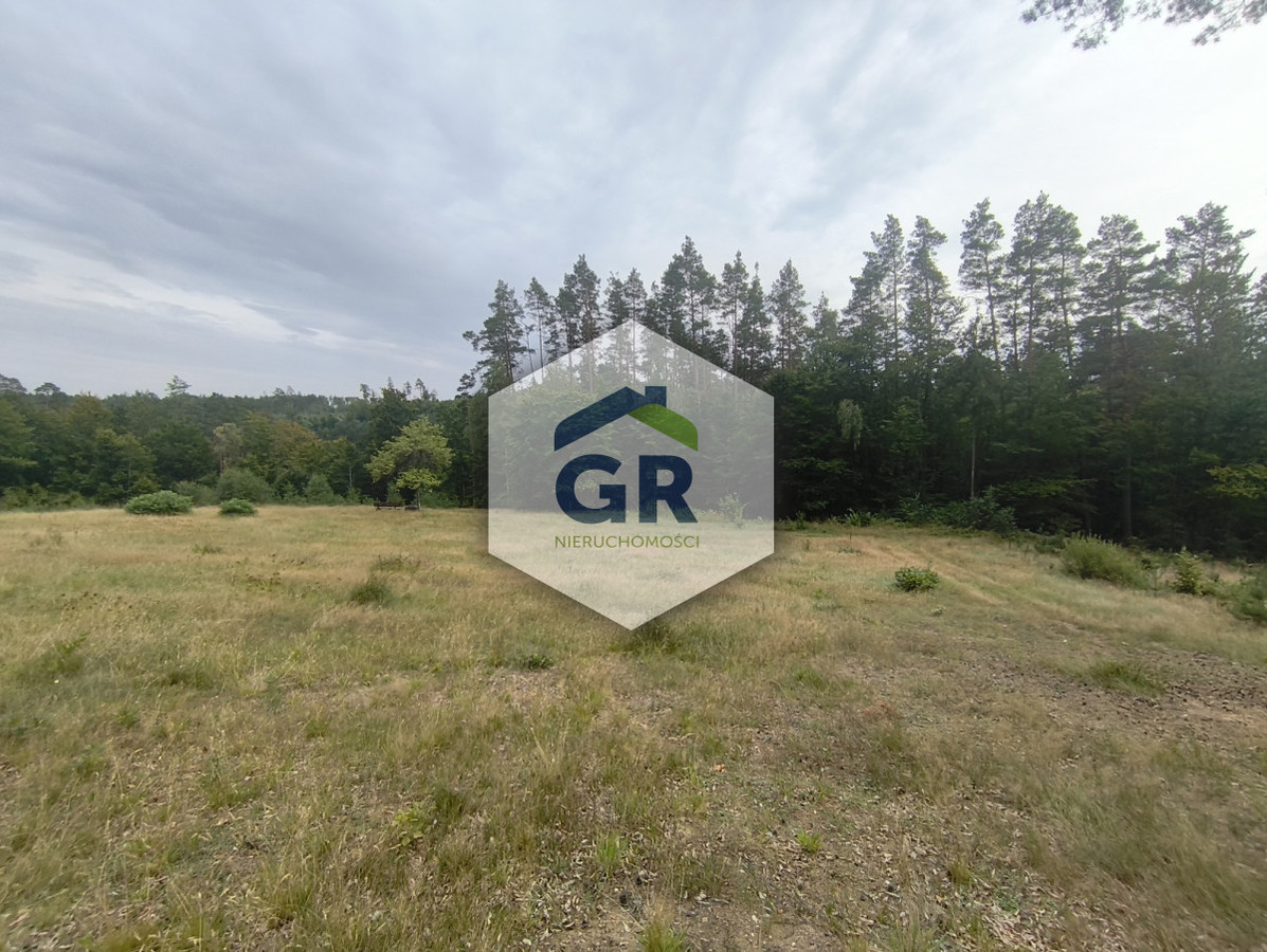 Kaszubska oaza spokoju | 3342 m² | pod lasem - Widok 2