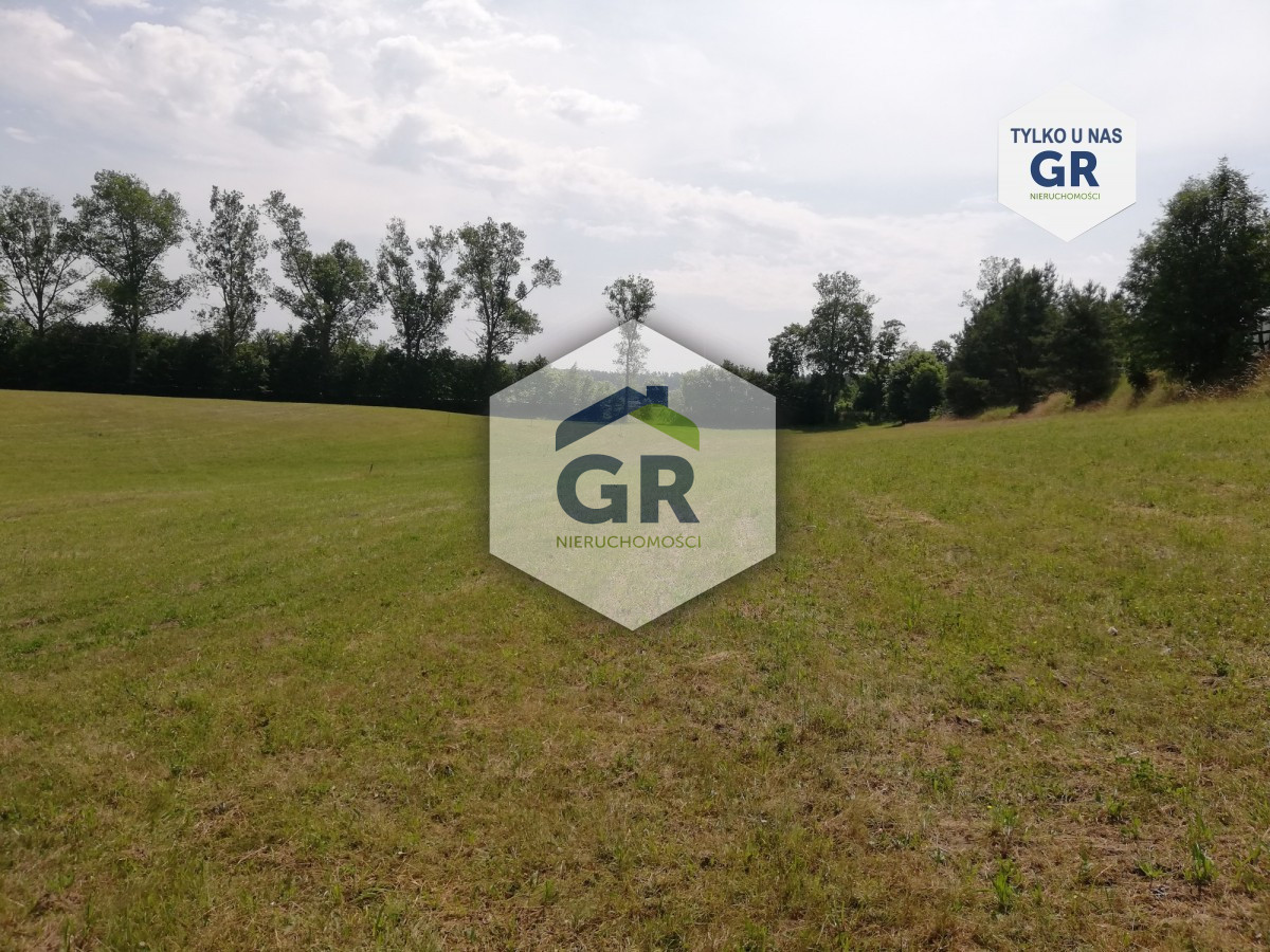 Działka budowlana 1050 m² Dziemiany / WZ / natura - Widok 3