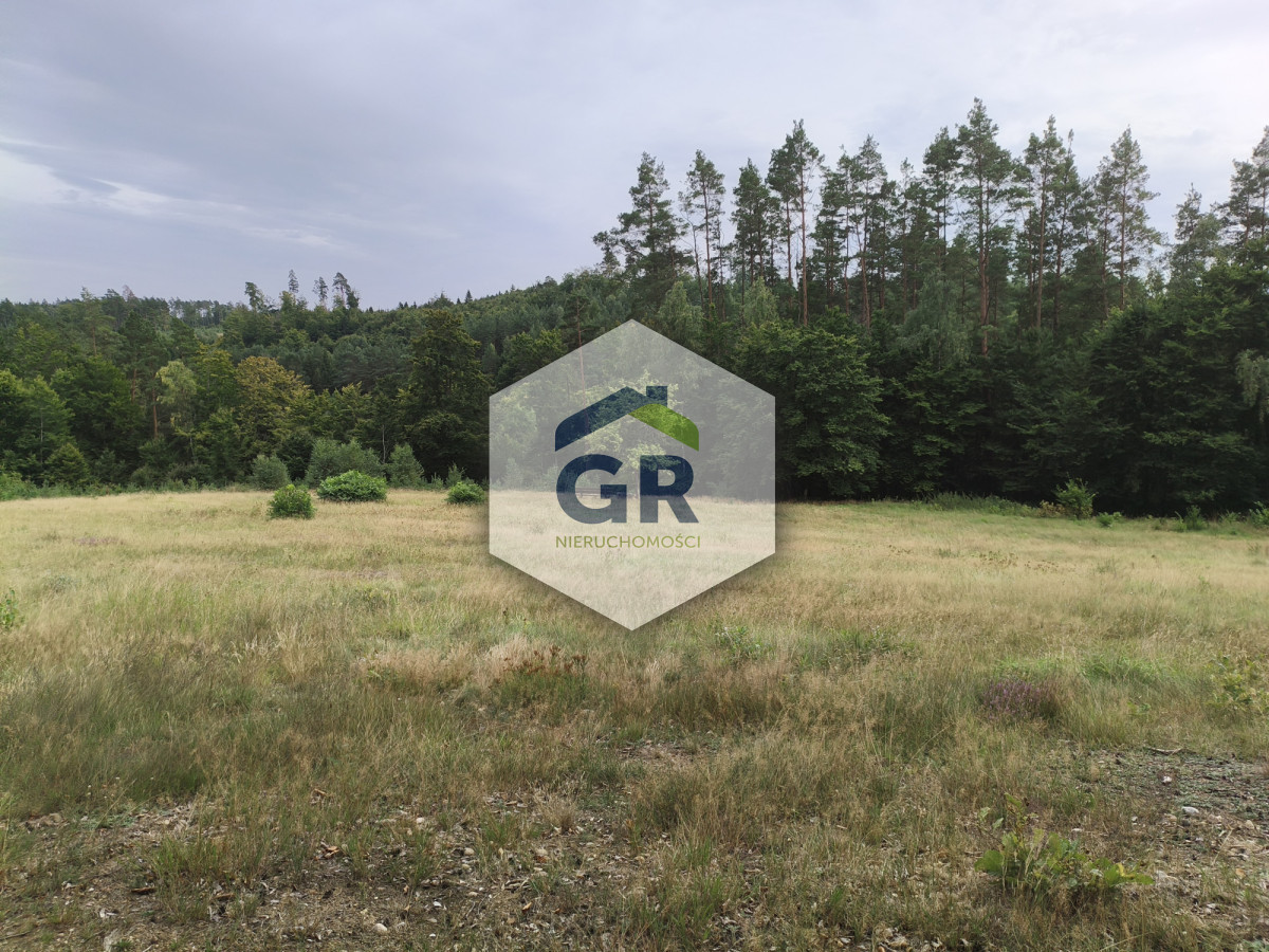 Kaszubska oaza spokoju | 3342 m² | pod lasem - Widok 5