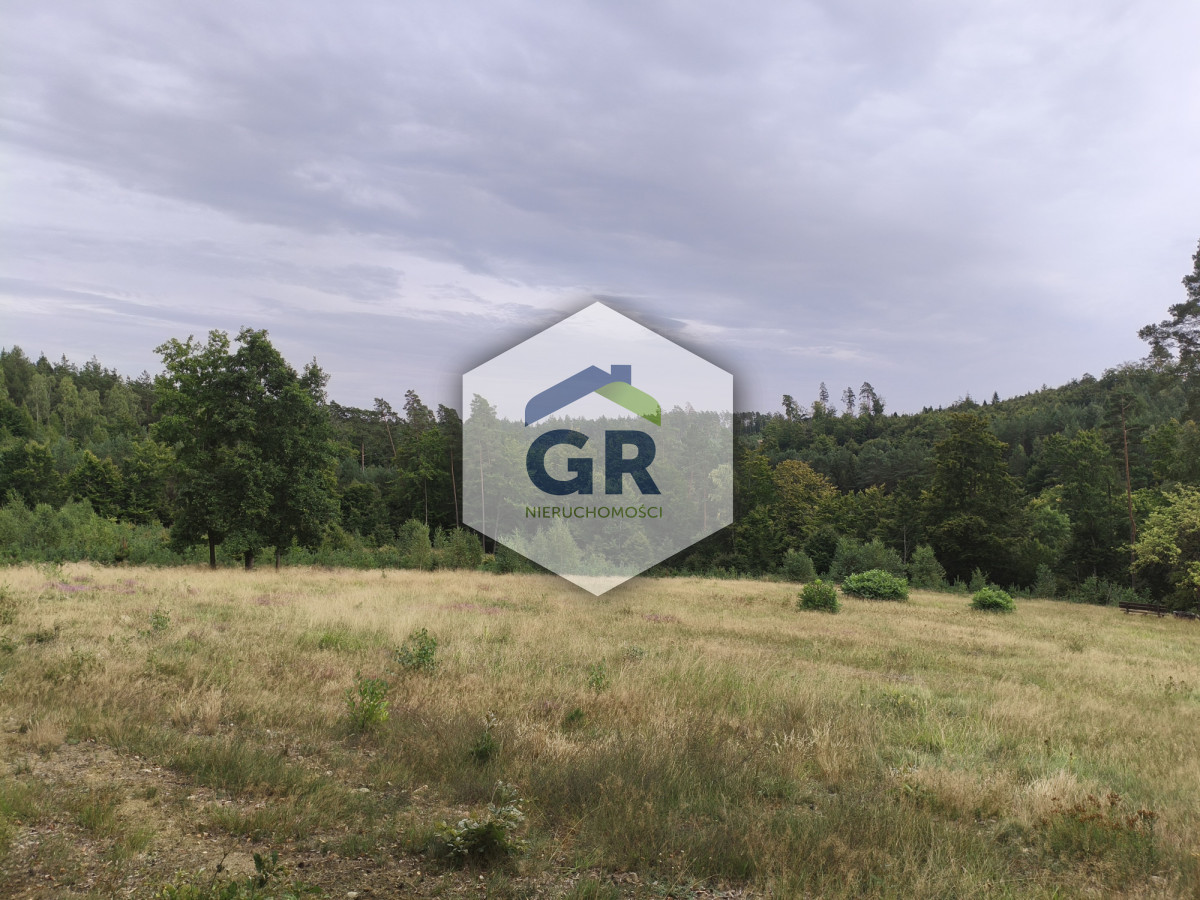 Kaszubska oaza spokoju | 3342 m² | pod lasem - Widok 4