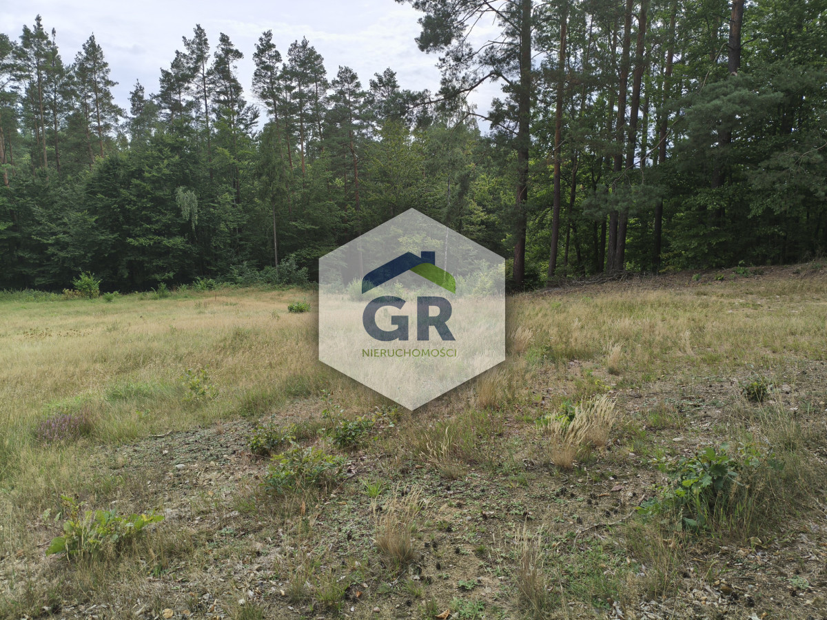 Kaszubska oaza spokoju | 3342 m² | pod lasem - Więcej