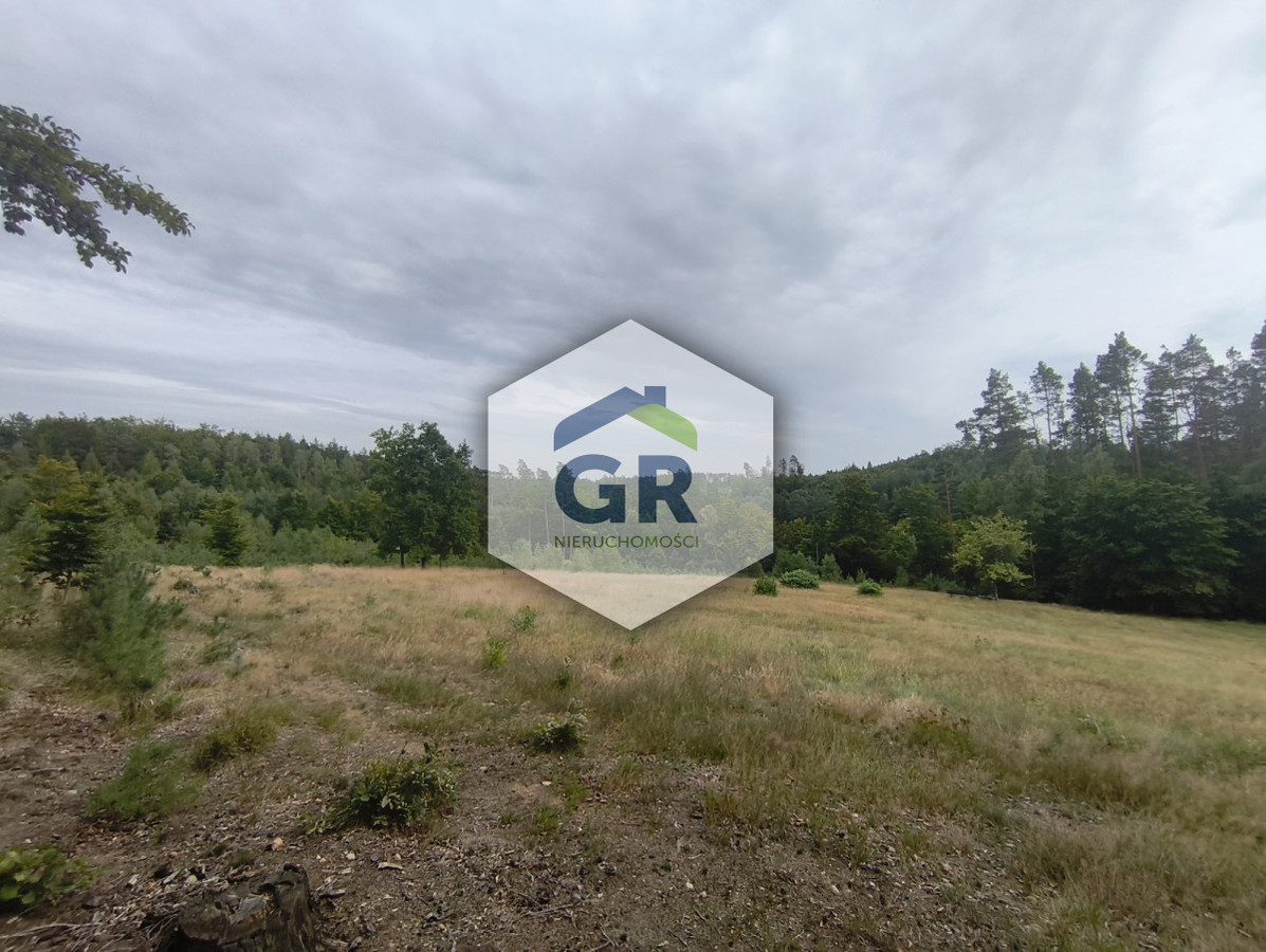 Kaszubska oaza spokoju | 3342 m² | pod lasem - Widok 3