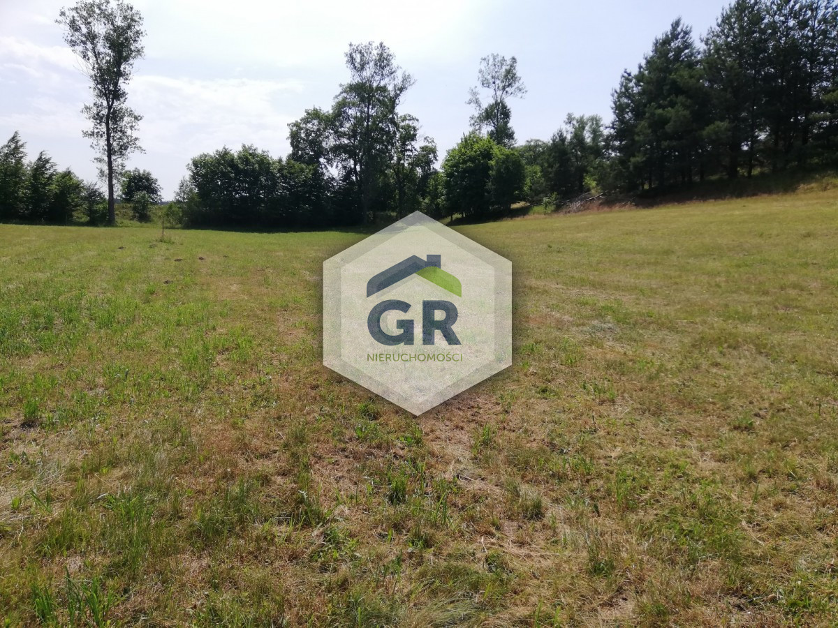 Działka budowlana 1050 m² Dziemiany / WZ / natura - Widok 4