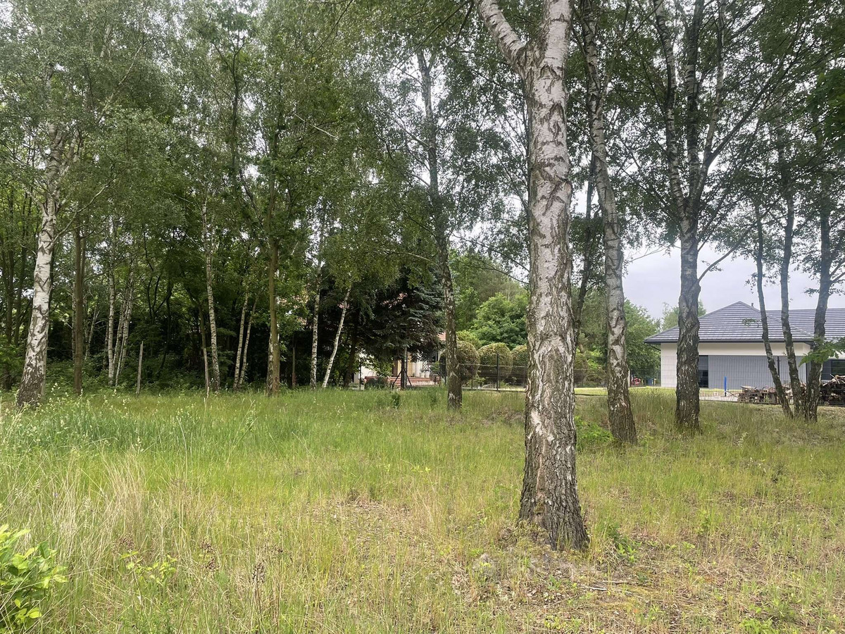 Działka budowlana z sąsiedztwem nowych domów - Widok 3