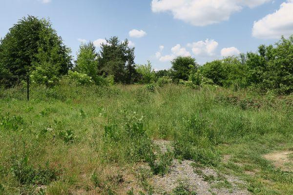 DZIAŁKI SKARYSZEW ul. Orzechowa - Więcej