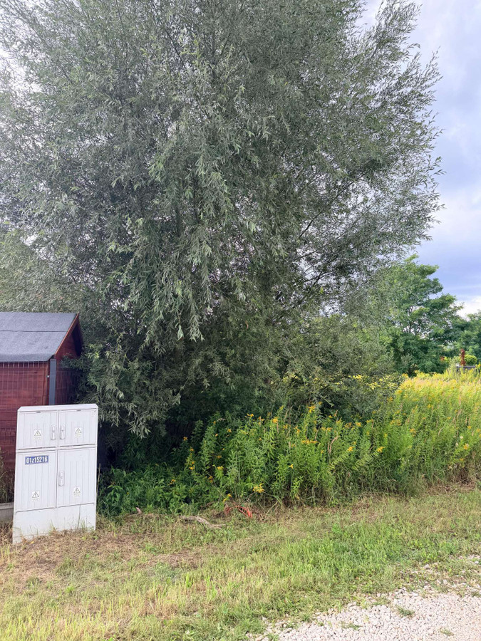 Działka budowlana Koczargi Stare - Widok 3