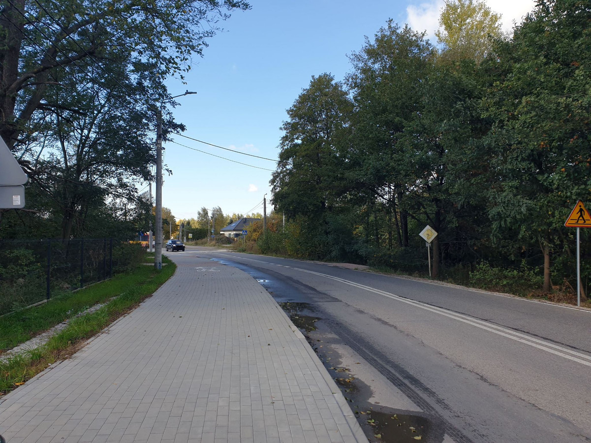 Słoneczna działka, sosnowy las. Wydane warunki zabudowy - Widok 2