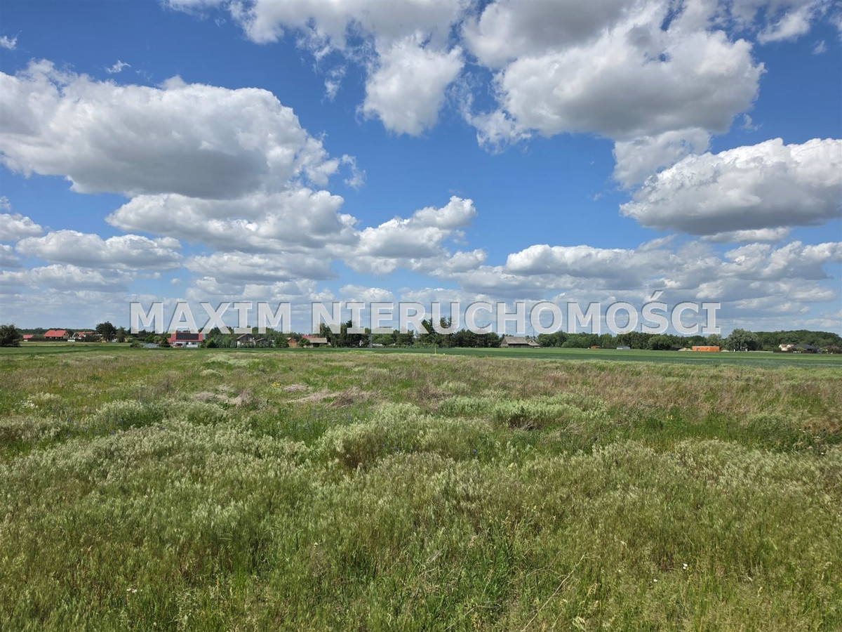 Działka 0,60 ha w Siedlinie k/Płońska - Więcej