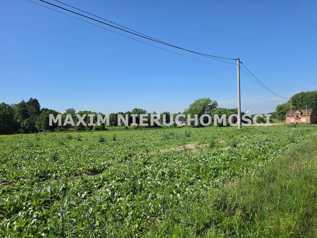 Działki z WZ Modzele Bartłomieje k/Nowe Miasto - Widok 2